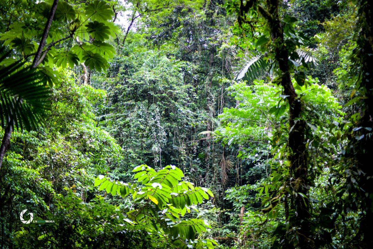 Princesa De La Luna Ecolodge La Fortuna Exterior foto