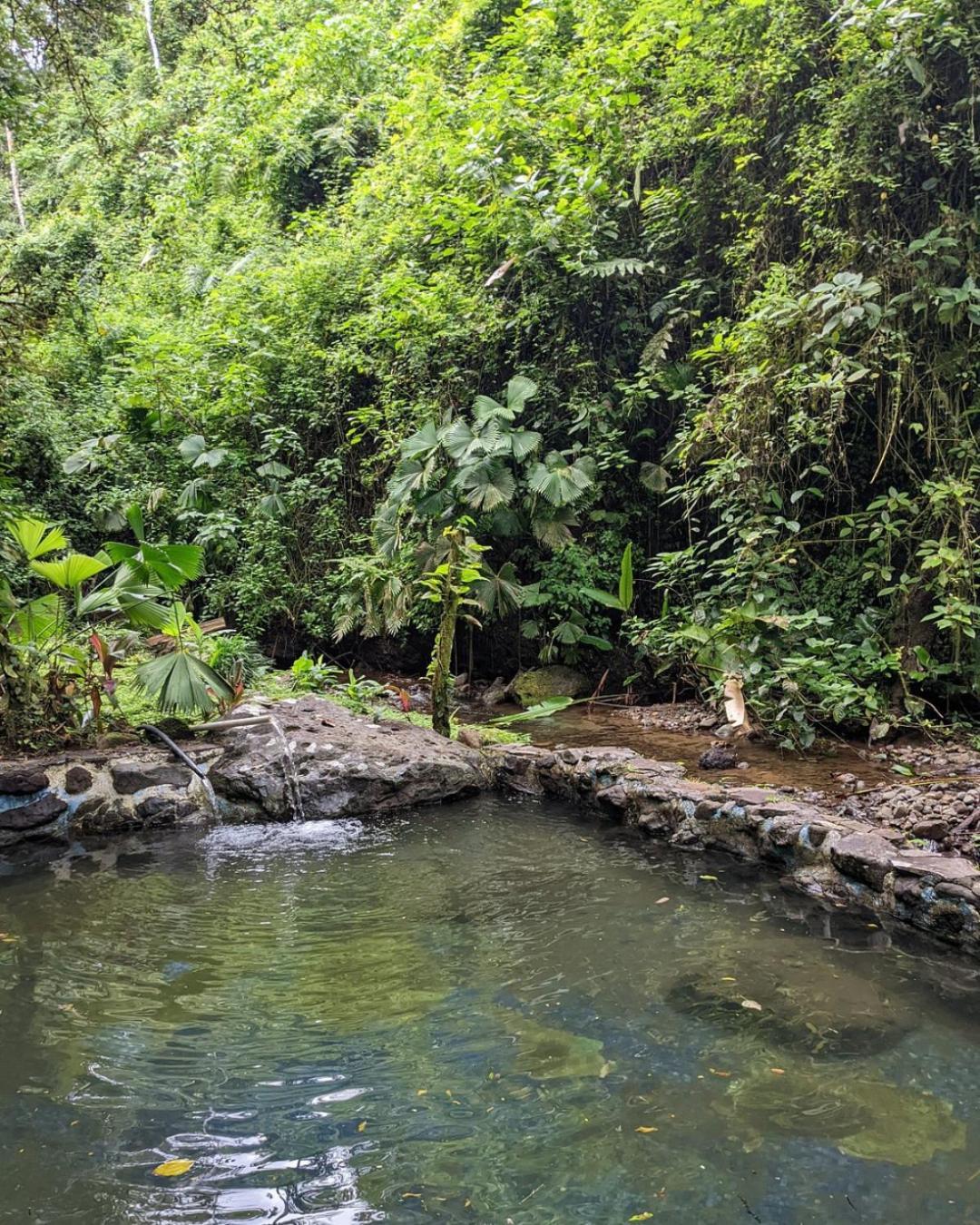 Princesa De La Luna Ecolodge La Fortuna Exterior foto